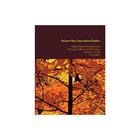 Pearson Education Limited Agile Software Development, Principles, Patterns, and Practices (häftad, eng)