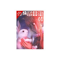 Little, Brown & Company Spice and Wolf, Vol. 14 (manga) (häftad, eng)