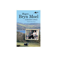 Y Lolfa Hogyn Bryn Moel (häftad, wel)