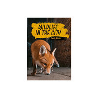 Hodder Education Reading Planet KS2: Wildlife in the City - Earth/Grey (häftad, eng)