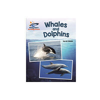 Rising Stars UK Ltd Reading Planet - Whales and Dolphins - White: Galaxy (häftad, eng)