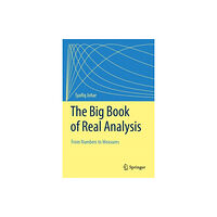 Springer International Publishing AG The Big Book of Real Analysis (inbunden, eng)