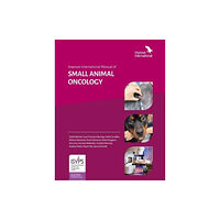 Improve International Ltd Improve International Manual of Small Animal Oncology (inbunden, eng)