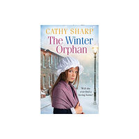 HarperCollins Publishers The Winter Orphan (häftad, eng)