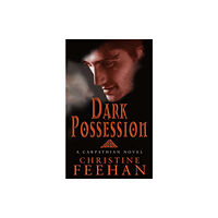 Little, Brown Book Group Dark Possession (häftad, eng)
