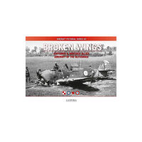 Canfora Grafisk Form Broken Wings: Captured & Wrecked Aircraft of the Blitzkrieg (häftad, eng)