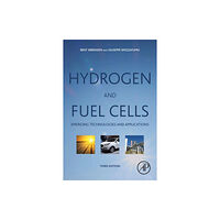 Elsevier Science & Technology Hydrogen and Fuel Cells (häftad, eng)