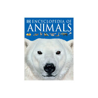 DK Encyclopedia of Animals (häftad, eng)