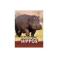 Capstone Global Library Ltd Hippos (häftad, eng)