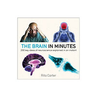 Quercus Publishing The Brain in Minutes (häftad, eng)