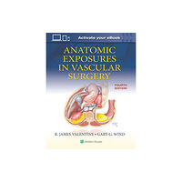 Wolters Kluwer Health Anatomic Exposures in Vascular Surgery (inbunden, eng)