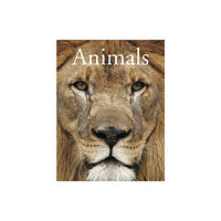 Amber Books Ltd Animals (häftad, eng)