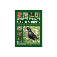 Anness publishing How to Attract Garden Birds (inbunden, eng)