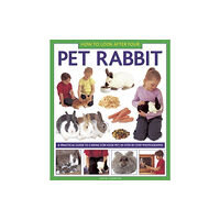 Anness publishing How to Look After Your Pet Rabbit (inbunden, eng)