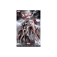 Panini Publishing Ltd Marvel Platinum: The Definitive X-men Redux (häftad, eng)