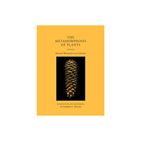 Mit press ltd The Metamorphosis of Plants (häftad, eng)