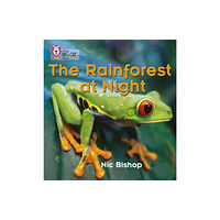 HarperCollins Publishers The Rainforest at Night (häftad, eng)