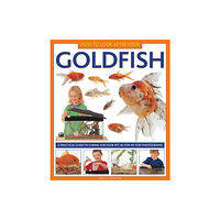 Anness publishing How to Look After Your Goldfish (inbunden, eng)