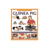 Anness publishing How to Look After Your Guinea Pig (inbunden, eng)