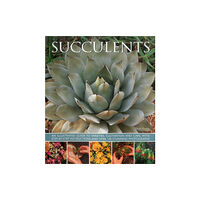 Anness publishing Succulents (inbunden, eng)