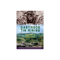 PiXZ Books Dartmoor Tin Mining (inbunden, eng)