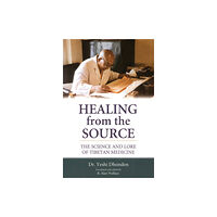 Shambhala Publications Inc Healing from the Source (häftad, eng)