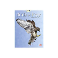 Pearson Education Limited Bug Club Independent Non Fiction Year Two White A Birds of Prey (häftad, eng)