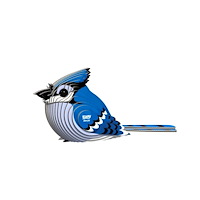 Eugy Eugy Blue Jay