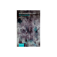 Oxford University Press Phenomenology of Illness (häftad, eng)