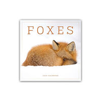 Carousel Calendars Foxes Square Wall Calendar 2025 (häftad, eng)