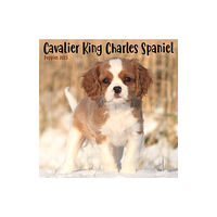 Avonside Publishing Ltd Cavalier King Charles Spaniel Puppies Square Mini Calendar 2025 (häftad, eng)