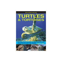 Anness publishing Exploring Nature: Turtles & Tortoises (inbunden, eng)