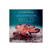 HarperCollins Underwater Wild (inbunden, eng)