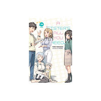 Little, Brown & Company A Sister's All You Need., Vol. 14 (light novel) (häftad, eng)