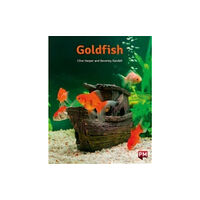 SCHOLASTIC LTD PM ORANGE  GOLDFISH N FIC LEV16 (häftad, eng)