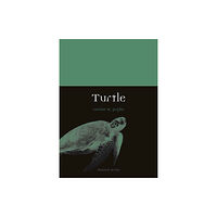 Reaktion Books Turtle (häftad, eng)