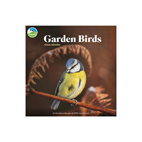 Carousel Calendars RSPB Garden Birds Square Wall Calendar 2025 (häftad, eng)