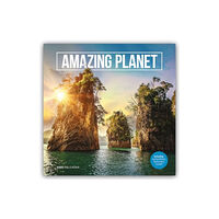 Carousel Calendars Amazing Planet Square Wall Calendar 2025 (häftad, eng)