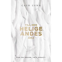 Cash Luna Till den helige Andes ära (häftad)