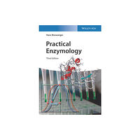 Wiley-VCH Verlag GmbH Practical Enzymology (häftad, eng)