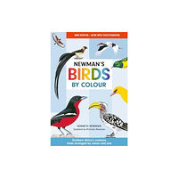 Penguin Random House South Africa Newman's Birds by Colour (häftad, eng)