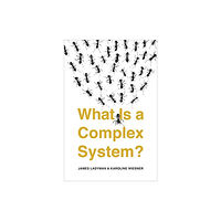 Yale university press What Is a Complex System? (häftad, eng)