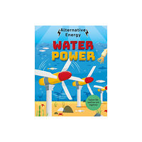 Hachette Children's Group Alternative Energy: Water Power (häftad, eng)