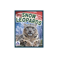 North Star Editions Wild Cats: Snow Leopards (häftad, eng)