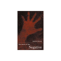 Free Association Books The Work of the Negative (häftad, eng)