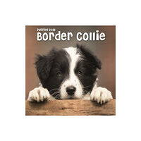 Avonside Publishing Ltd Border Collie Puppies Square Mini Calendar 2025 (häftad, eng)