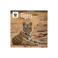 Carousel Calendars WWF Tigers Square Wall Calendar 2025 (häftad, eng)