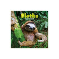 Carousel Calendars Sloths Square Mini Calendar 2025 (häftad, eng)