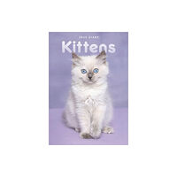 Carousel Calendars Kittens A5 Diary 2025 (häftad, eng)