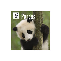 Carousel Calendars WWF Pandas Square Wall Calendar 2025 (häftad, eng)